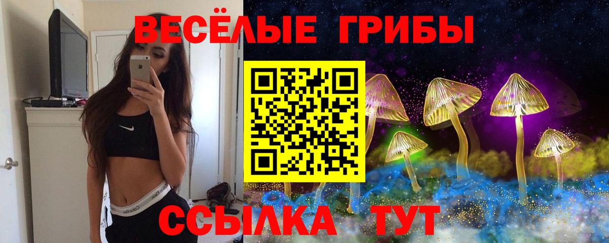 Псилоцибиновые грибы мухоморы Городец