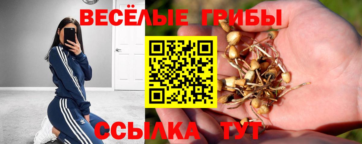 Городец  Галлюциногенные грибы ЛСД  Вход с VPN 
